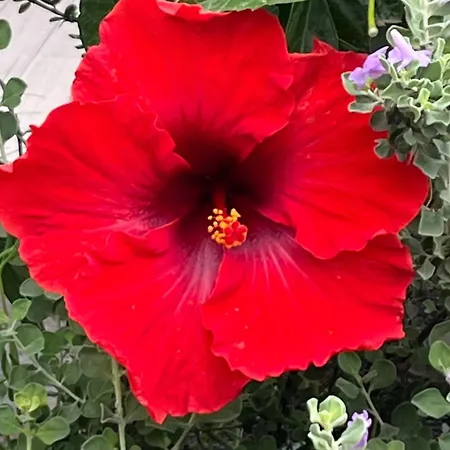 Ankerplatz - Casa Juseli - Ruhe Und Erholung アパート