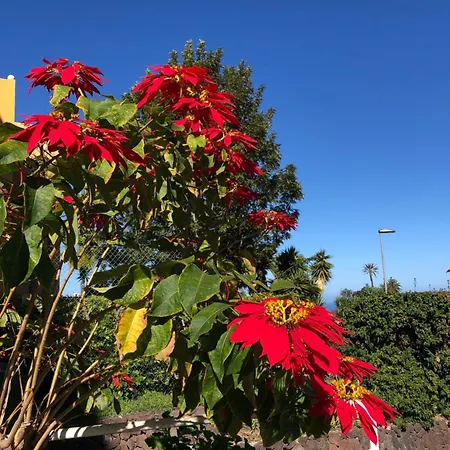 Ankerplatz - Casa Juseli - Ruhe Und Erholung サンタ・ウルスラ