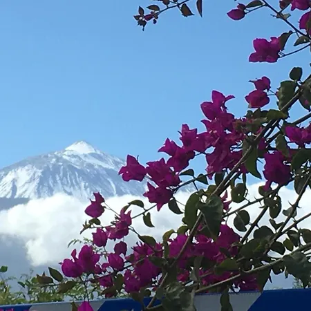 Ankerplatz - Casa Juseli - Ruhe Und Erholung * Santa Ursula (Tenerife)