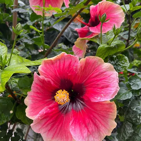 Ankerplatz - Casa Juseli - Ruhe Und Erholung * Santa Úrsula