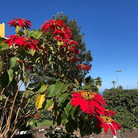 Apartamento Ankerplatz - Casa Juseli - Ruhe Und Erholung *