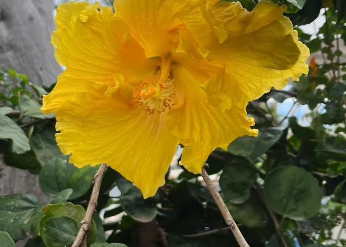 Ankerplatz - Casa Juseli - Ruhe Und Erholung * Santa Úrsula