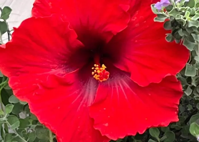 Ankerplatz - Casa Juseli - Ruhe Und Erholung Daire