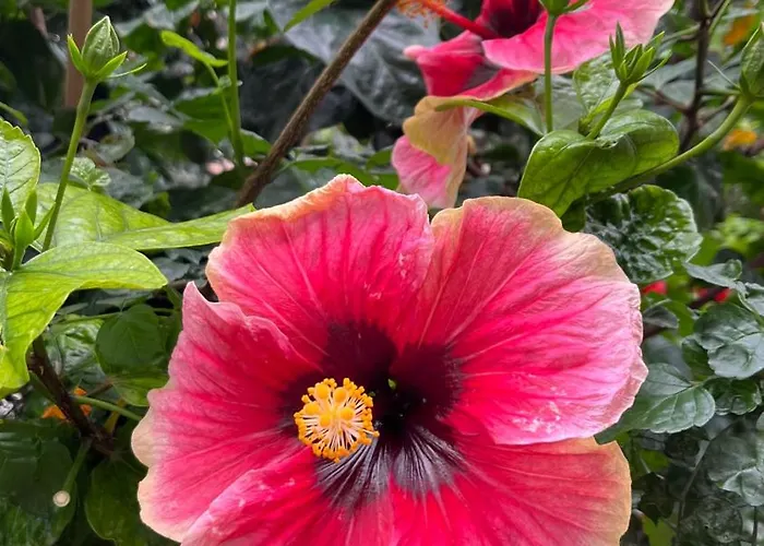 Ankerplatz - Casa Juseli - Ruhe Und Erholung * Santa Úrsula