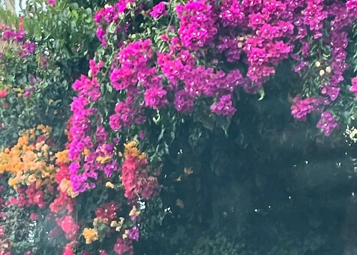 Daire Ankerplatz - Casa Juseli - Ruhe Und Erholung