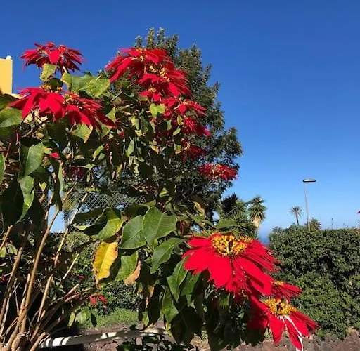 Daire Ankerplatz - Casa Juseli - Ruhe Und Erholung *